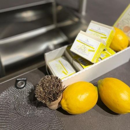 Handbürsten mit Naturborsten